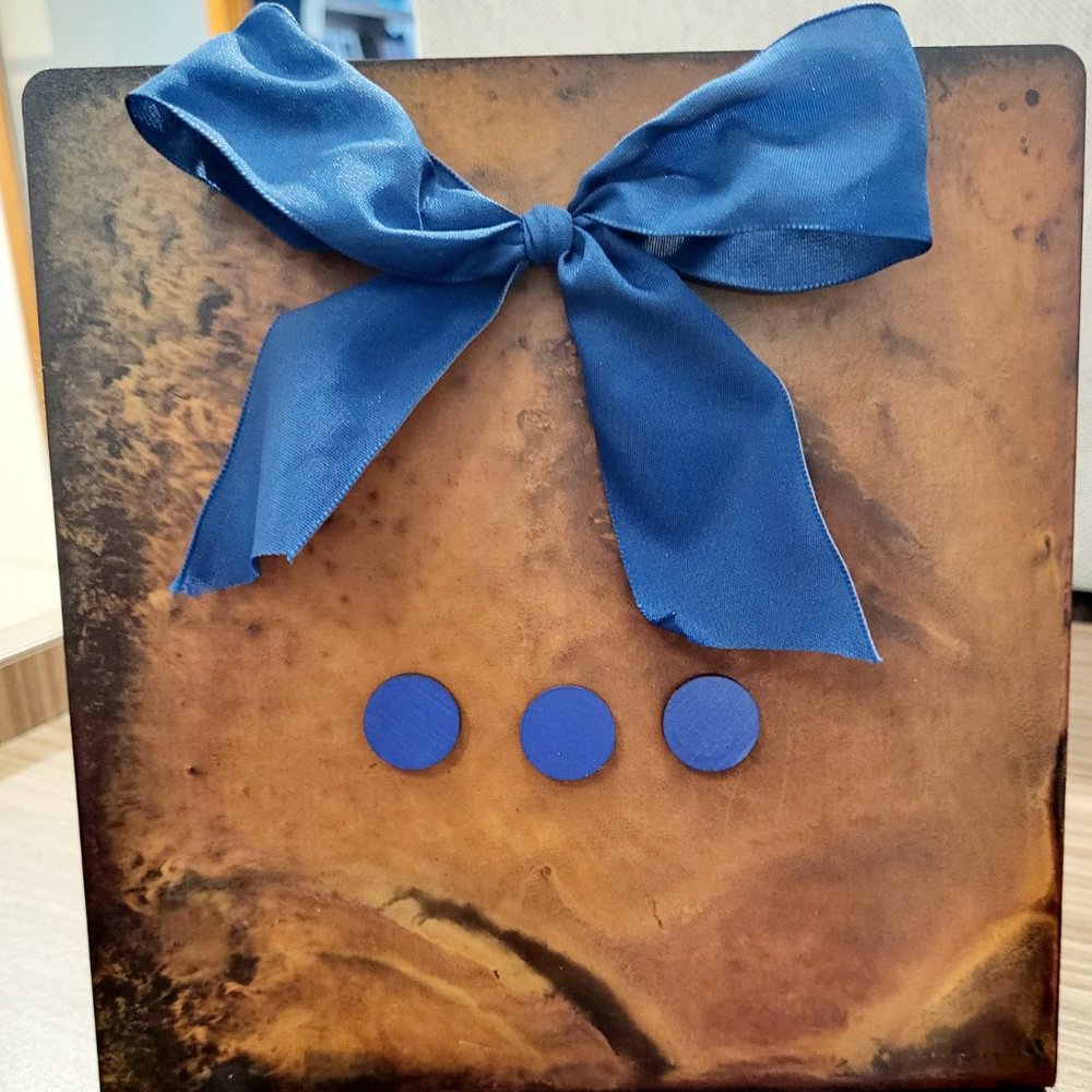 Magnetic Picture Frame Board with Removable Blue Ribbon + Magnets, new